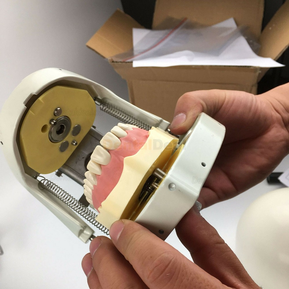 Jingle JG-C1 Clamp Type Dental Phantom Head Simulator Compatible with Nissin Kilgore/Frasaco